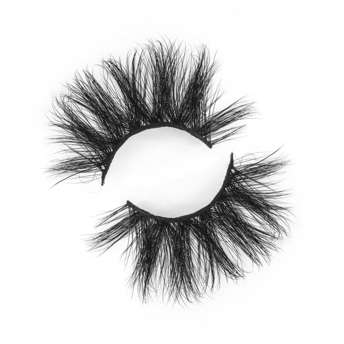 Disturbia - Dose of Lashes
